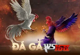 11BET Đá Gà Live Ws168